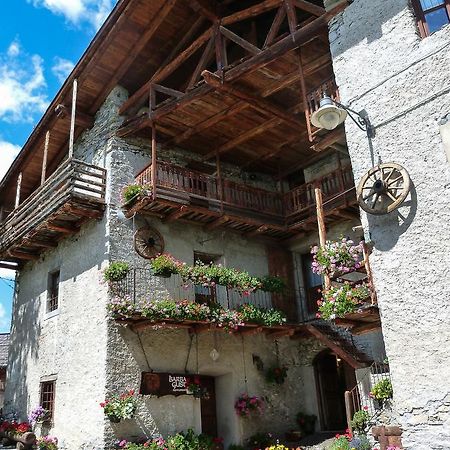 Agriturismo Barba Gust Cesana Torinese Eksteriør bilde