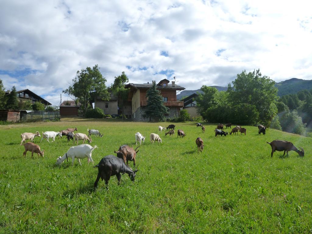 Agriturismo Barba Gust Cesana Torinese Eksteriør bilde