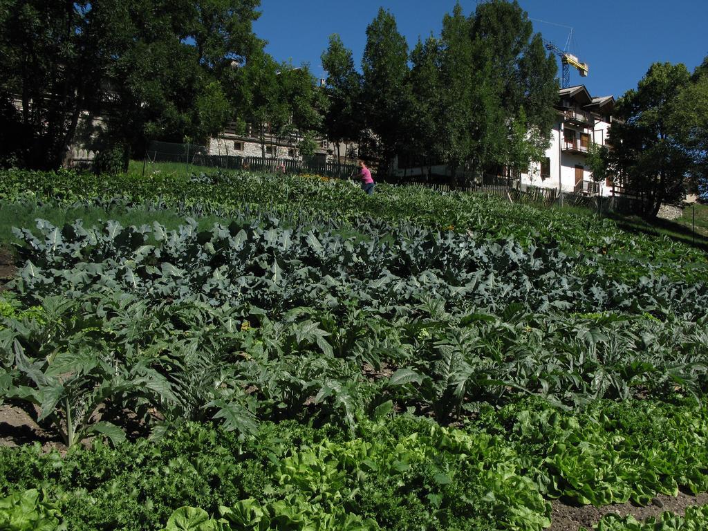 Agriturismo Barba Gust Cesana Torinese Eksteriør bilde