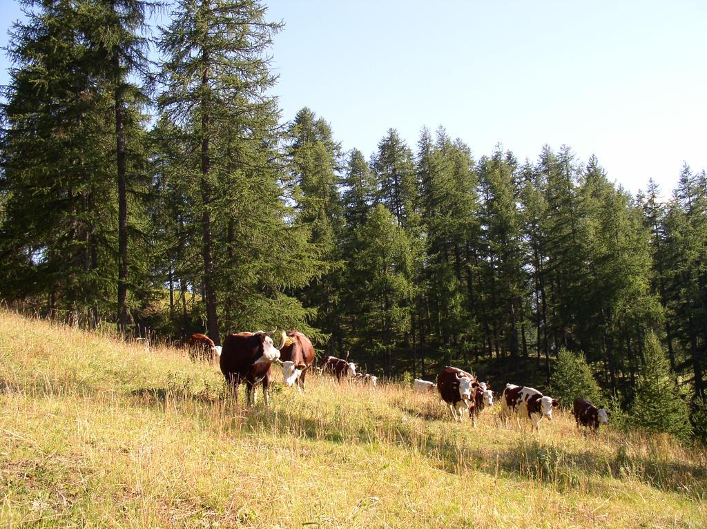 Agriturismo Barba Gust Cesana Torinese Eksteriør bilde
