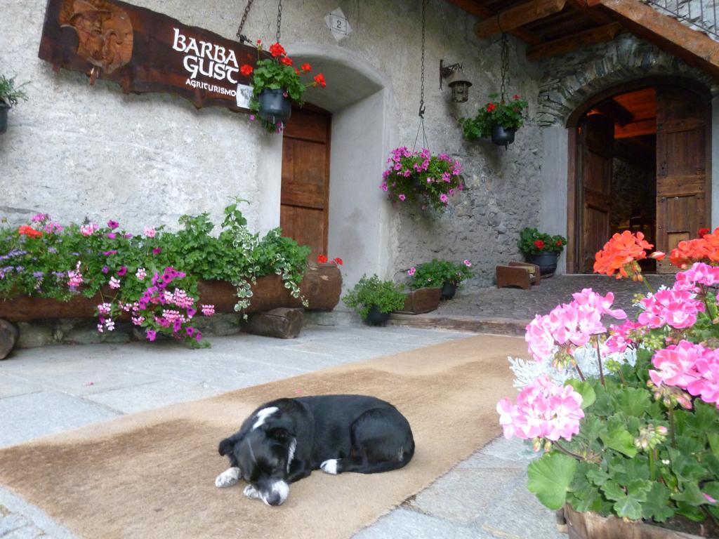 Agriturismo Barba Gust Cesana Torinese Eksteriør bilde