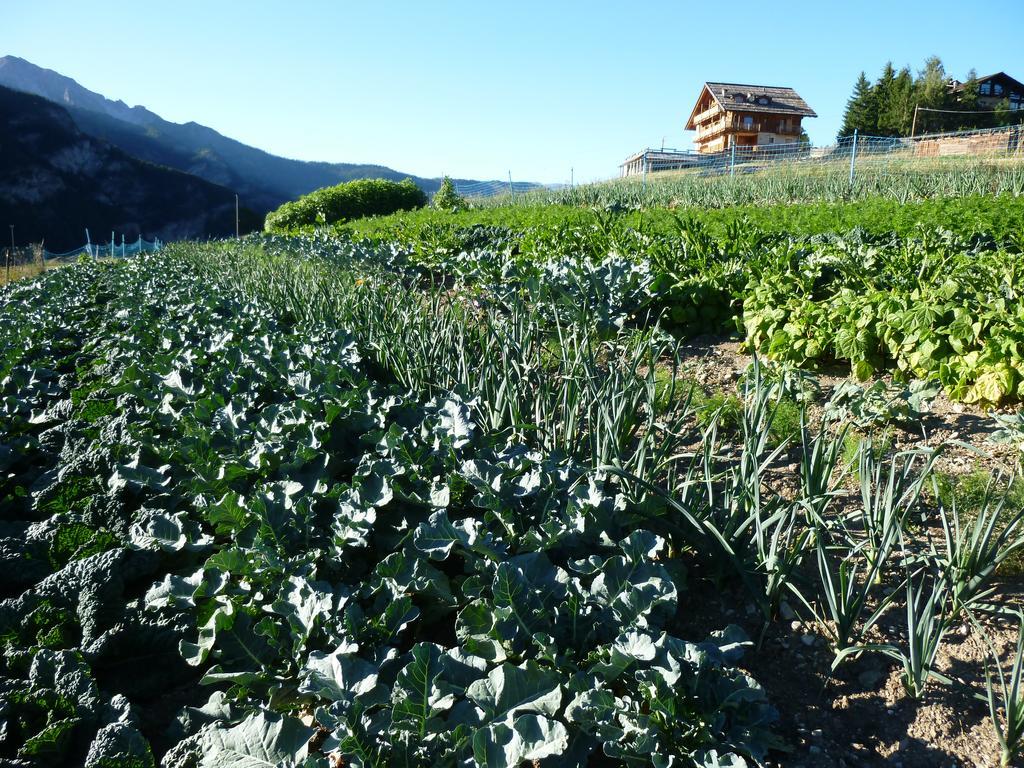 Agriturismo Barba Gust Cesana Torinese Eksteriør bilde