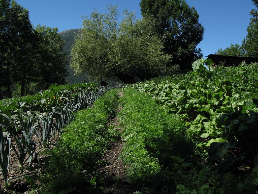 Agriturismo Barba Gust Cesana Torinese Eksteriør bilde