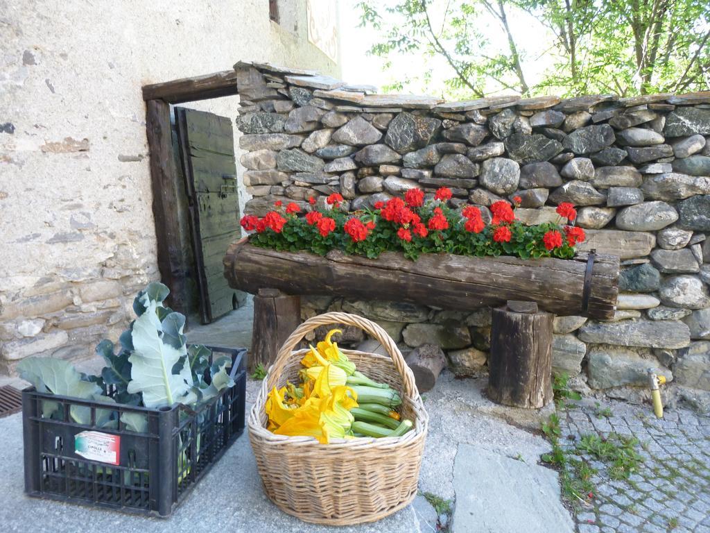 Agriturismo Barba Gust Cesana Torinese Eksteriør bilde