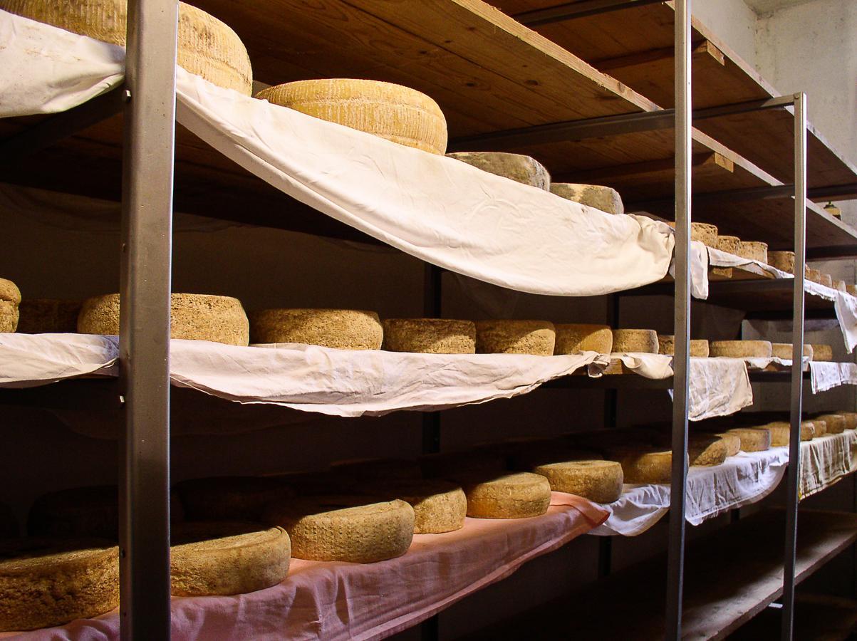 Agriturismo Barba Gust Cesana Torinese Eksteriør bilde